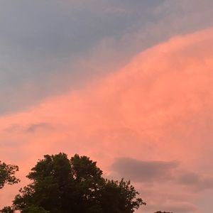 Meet your Posher, Jacky